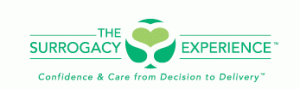 the-surrogacy-experience