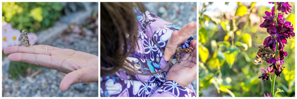 Setting free the butterflies in Pinkney Park!