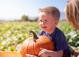 A boy picking a pumpkin.
