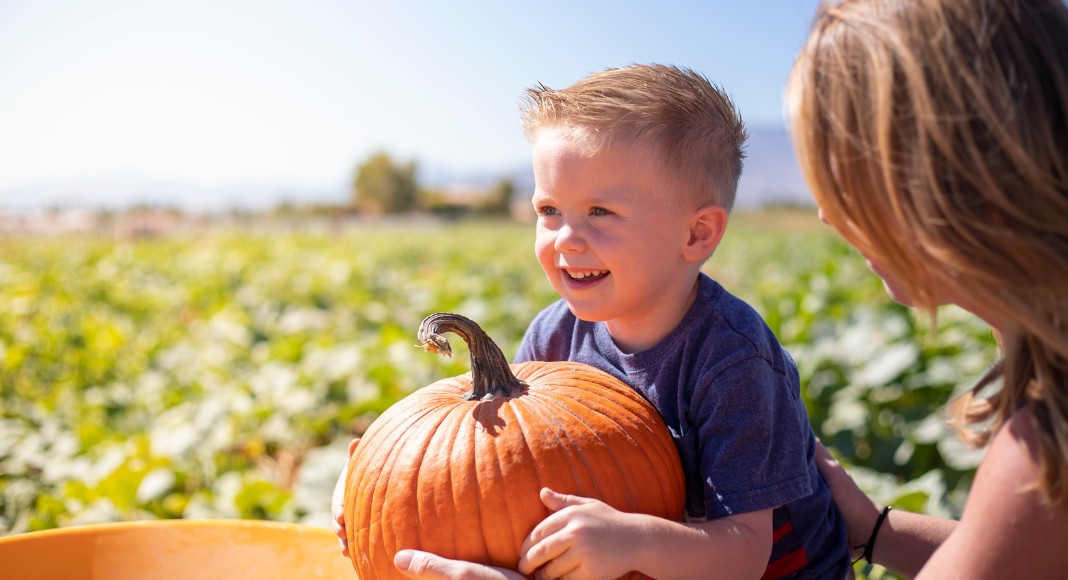 A boy picking a pumpkin.