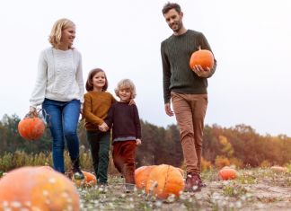 fall family-friendly activities