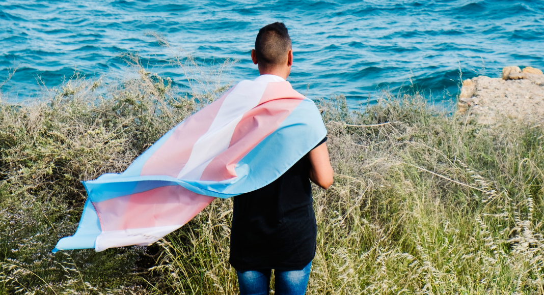 A person with a transgender flag wrapped around them.