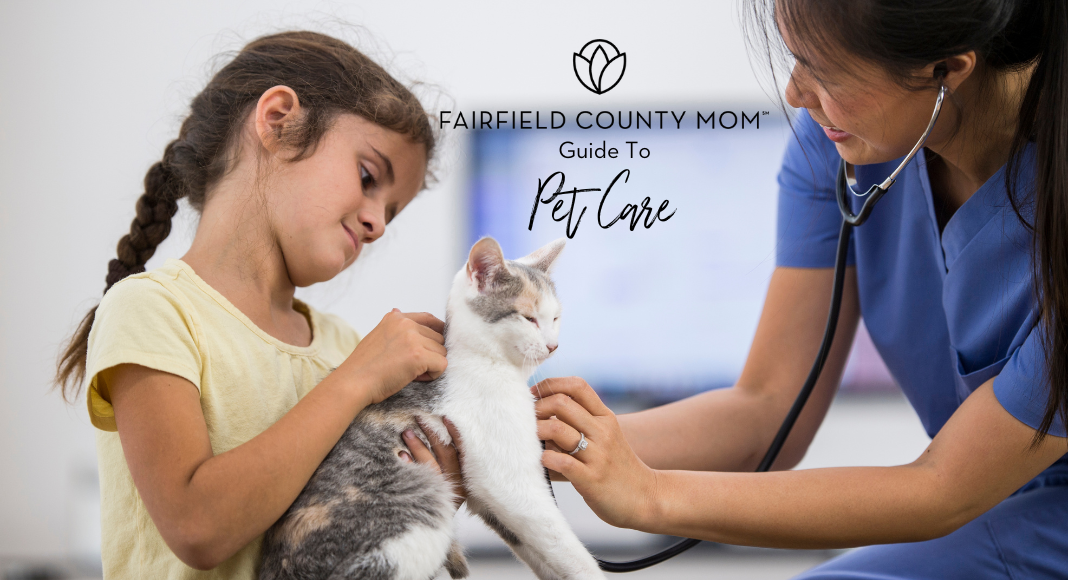 A Guide to Pet Care in Fairfield County, Connecticut