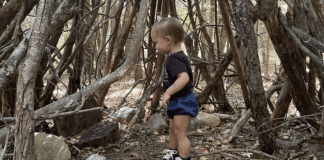 A little girl playing in a teepee made of sticks.