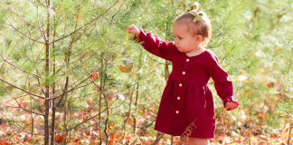 A toddler girl putting ornaments on a tree at a farm.